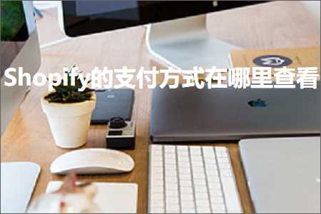 璺ㄥ鐢靛晢鐭ヨ瘑:Shopify鐨勬敮浠樻柟寮忓湪鍝噷鏌ョ湅